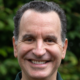DavidFischerSolutionsForGrowth
